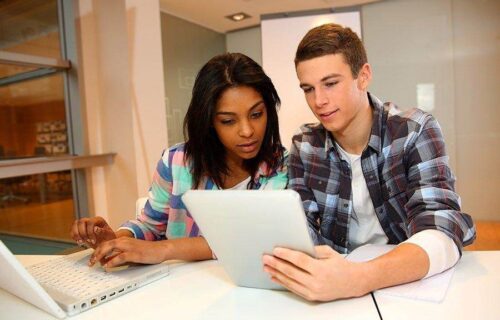 Social Media Management Program
